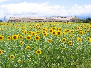 aaaa